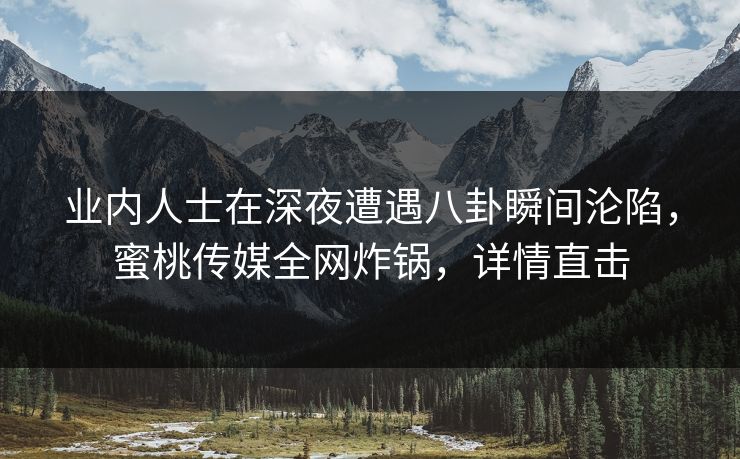 业内人士在深夜遭遇八卦瞬间沦陷，蜜桃传媒全网炸锅，详情直击