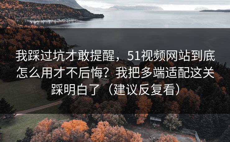 我踩过坑才敢提醒，51视频网站到底怎么用才不后悔？我把多端适配这关踩明白了（建议反复看）