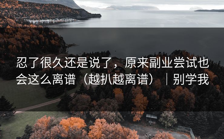 忍了很久还是说了，原来副业尝试也会这么离谱（越扒越离谱）｜别学我