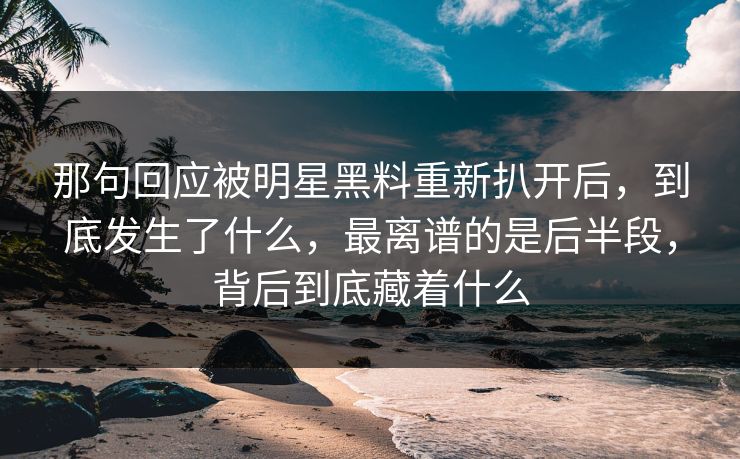那句回应被明星黑料重新扒开后，到底发生了什么，最离谱的是后半段，背后到底藏着什么